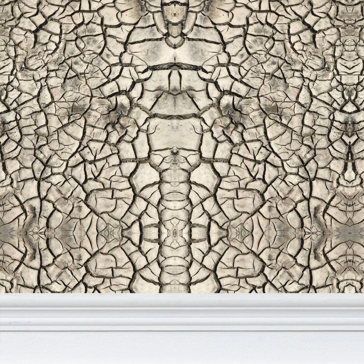 Cracked Earth Wallpaper - Organic Industrial Designer Wallpaper