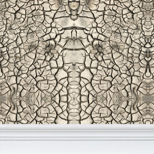 Cracked Earth Wallpaper - Organic Industrial Designer Wallpaper
